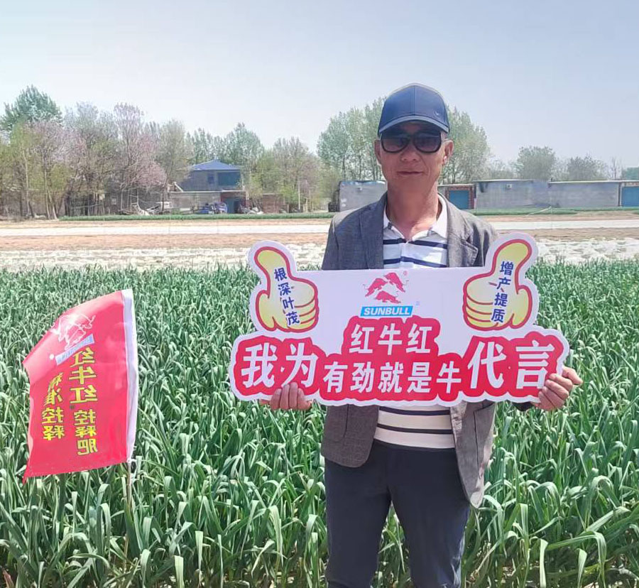 红牛红  控释肥 示范田回访